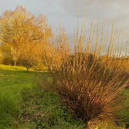 Katy's Barn Saint-Aulaye-Puymangou