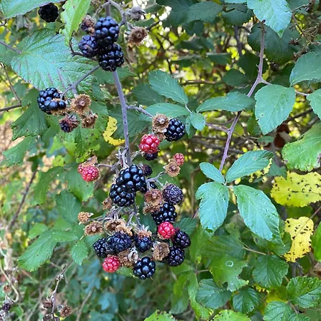 Сasa de vacaciones Katy's Barn