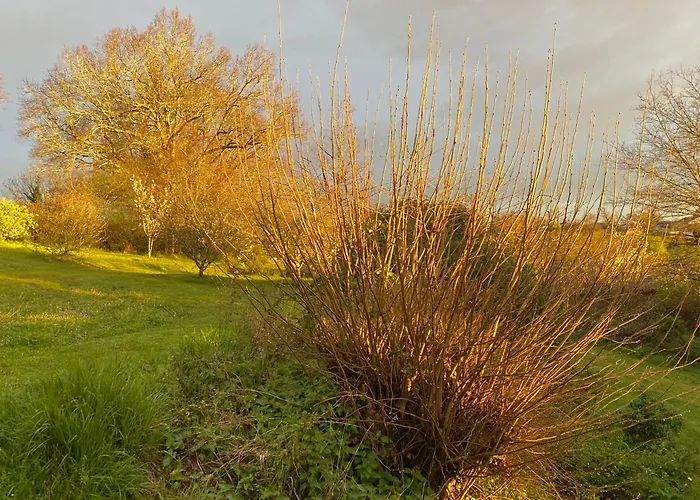 Katy's Barn Saint-Aulaye-Puymangou